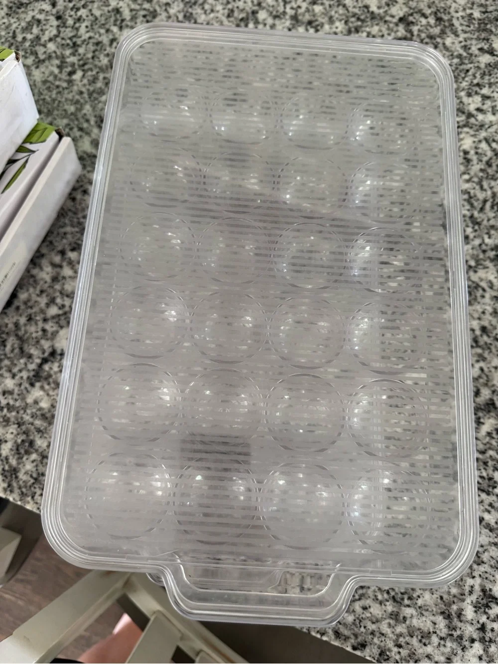Clear Plastic Egg Storage Container - Home Storage & Organization